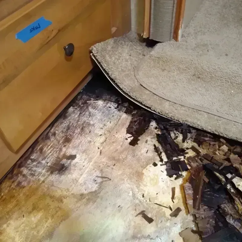 Best Wood Floor Water Damage Service in Parkchester, NY